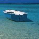 Palm-fringed beauty: Filming Mauritius