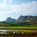 Tropical wilderness and European stylings: Filming Madagascar