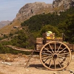 Berocca makes spaghetti western homage with a donkey on location in Mallorca