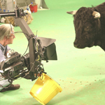 Filming on location with animals