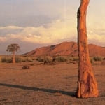 Mad Max sequel switches filming locations from New South Wales to Namibia 