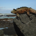 David Attenborough 3D documentary to film on location in Galapagos Islands