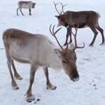 Travelling on location in Finnish Lapland with The Location Guide