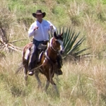 Filming on location at Price Canyon Ranch in the state of Arizona