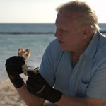 David Attenborough to film new BBC documentary on Great Barrier Reef