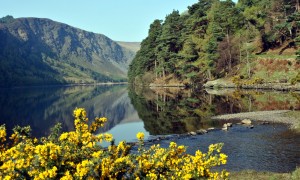 Irish county Wicklow relaxes filming restrictions to allow for expansion