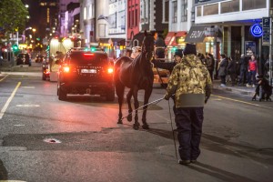 Velocity Films stages horse escape in Cape Town for Carling Black Label commercial